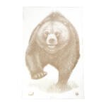 ACTION TGT AK STATE PARK BEAR 100PK