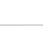 REAL AVID BORE MAX ROD .22CAL 36