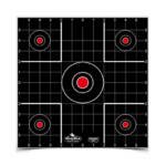 B/C DIRTY BIRD SIGHT IN TGT 12-12"