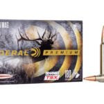 FED PRM 300WIN 180GR BRNS TSX 20/200