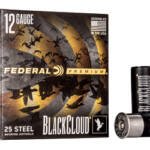 FED BLK CLOUD 12GA 2.75 #4 25/250