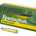 REM 3030WIN 170GR SP CL 20/200