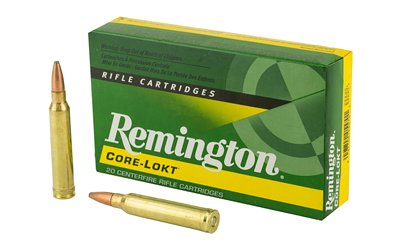 REM 300WIN 150GR PSP CL 20/200