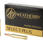 WBY AMMO 300WBY 180GR TTSX 20/200