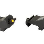 XS XTI2 DXS STANDARD DOT ORN