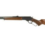 ROSSI R95 CLASSIC 45C 20" 10RD