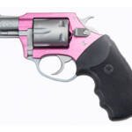 CHARTER ARMS PINK LADY 22LR 2" 8RD