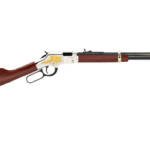 HENRY H4 AMERICAN TRUCKER 22LR 20"