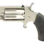 NAA PUG WHITE DOT 22WMR 1" 5RD