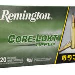 REM CORE-LOKT 7MM PRC 175GR 20/200
