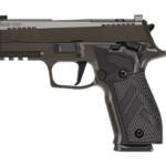 SIG 226 XLGN DA/SA 9MM 3.8" 18RD GRY