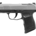 SIG P365 9MM 3.1" 10RD OR BLK/SS