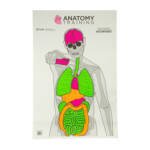 ACTION TGT ANATOMY TRNG 100PK