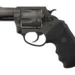 CHARTER ARMS PITBULL 9MM 2.2" 5RD NI