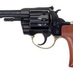 HENRY H16 DEADEYE 22LR 10RD 4" BIRD