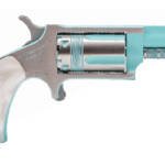 NAA MINI REV IRIS 22WMR 5RD TURQ/SLV