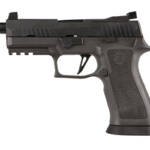 SIG P320 X-CARRY LGN 9MM 4.6 10RD TB