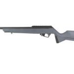SAV RXR22 22LR 16.5" 10RD GRAY/BLK