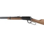 HENRY H1 FRONTIER 22LR 20" 16RD