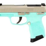 SIG P365 380ACP 3.1" 10RD NKL/REB