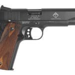 ATI GSG M1911 22LR 5" BL 10RD WD CA