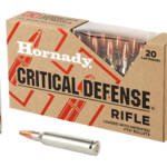 HRNDY CD 223REM 55GR FTX 20/200