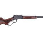 HENRY H1 SPORTER 22WMR 16.5" 10RD TB