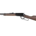 HENRY H1 CLASSIC CMP 22LR 16.5" 13RD