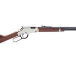 HENRY H4 GLDN BOY SLVR 17HMR 20"