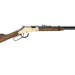 HENRY H4 GOLDEN BOY 17HMR 20" 12RD