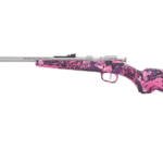 HENRY H5 MINI BOLT G2 22LR 16.25 MUD