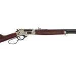 HENRY H10 BIG BOY WILD 45-70 20"