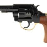 HENRY H16 GLDN RVLVR 22LR 10RD 4" GF