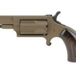 NAA BOOTLEGGER 22MAG 5RD BRZ