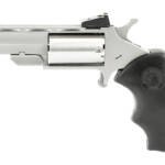 NAA BLK WIDOW 22WMR 2" 5RD AS