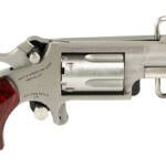 NAA MINI REV 22LR 1 1/8" 5RD W/SKELT