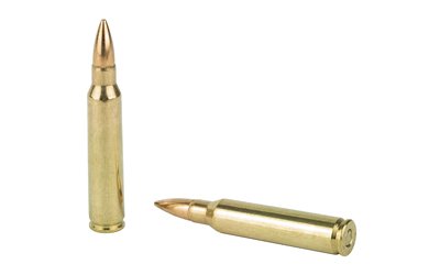 PMC BRNZ 223REM 55GR FMJ 20/1000 - Image 4