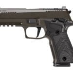 SIG P226 XLGN SAO 9MM 4.4" 10RD GRY