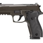 SIG P226 XLGN SAO 9MM 3.8" 18RD GRY