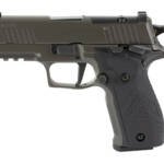 SIG P226 XLGN SAO 9MM 3.8" 10RD GRY