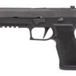 SIG P320 XTEN 10MM 5" 15RD BLK