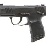 SIG P365 MS 9MM 3.1" 10RD BLK OR