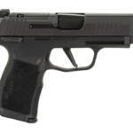 SIG P365XL MS 9MM 3.7" 10RD BLK