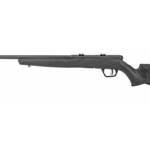 SAV B17 F 17HMR 21" 10RD BLK