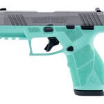 TAURUS GX2 9MM 3.38" 13RD STS/CYN MS