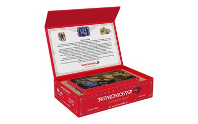 WIN USA 250TH 45ACP 230GR FMJ 50/300 - Image 2