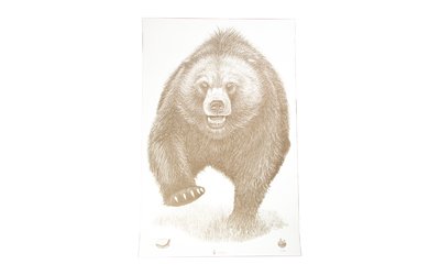 ACTION TGT AK STATE PARK BEAR 100PK