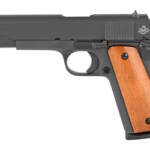 ROCK ISLAND 1911 45ACP 5" 8RD PRKD