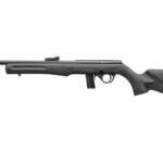 ROSSI RB22 22LR 18.5" 10RD BLK