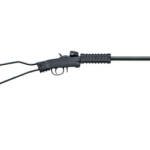 CHIAPPA LITTLE BADGER 22LR 16.5" BL